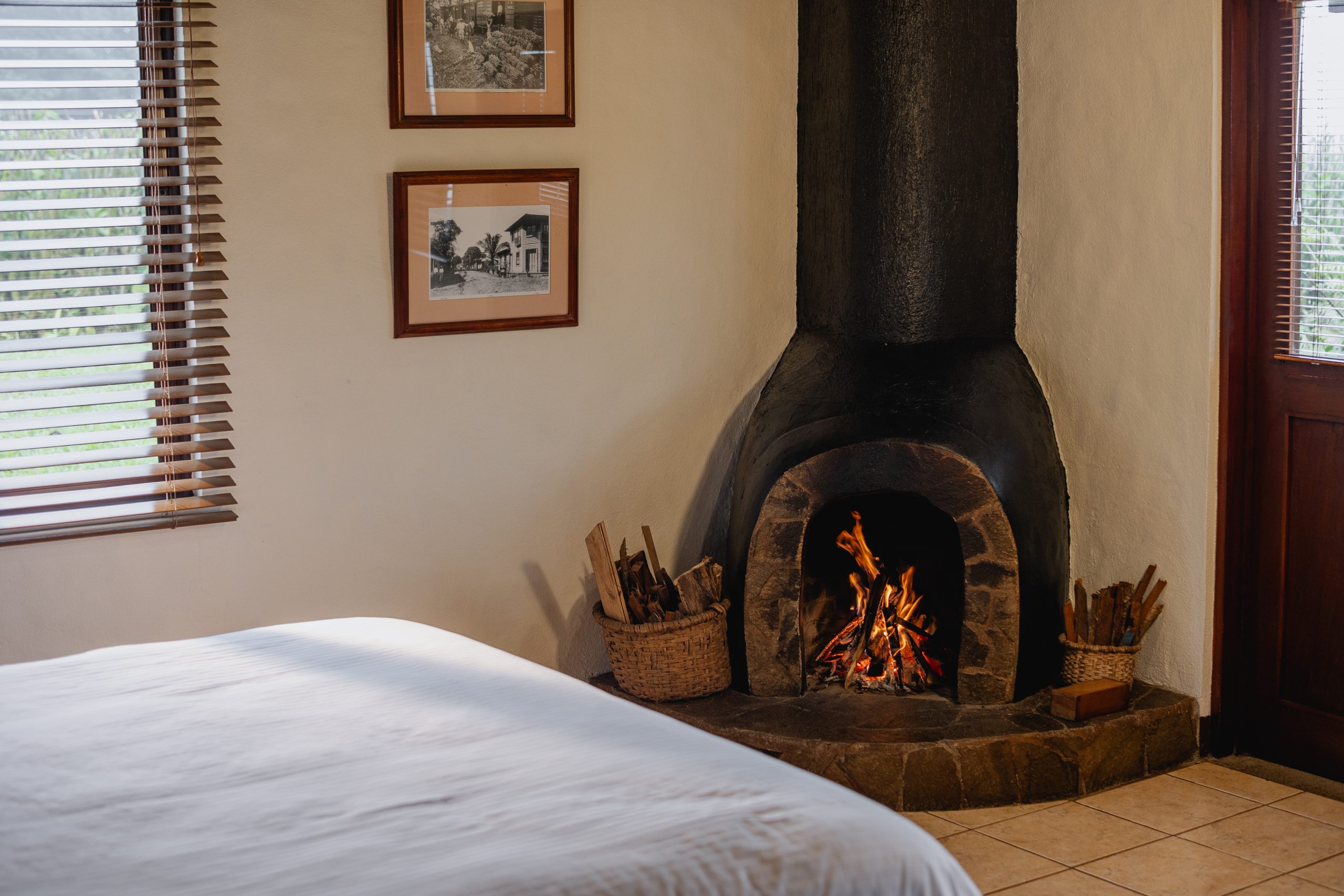 Wood-burning fireplace