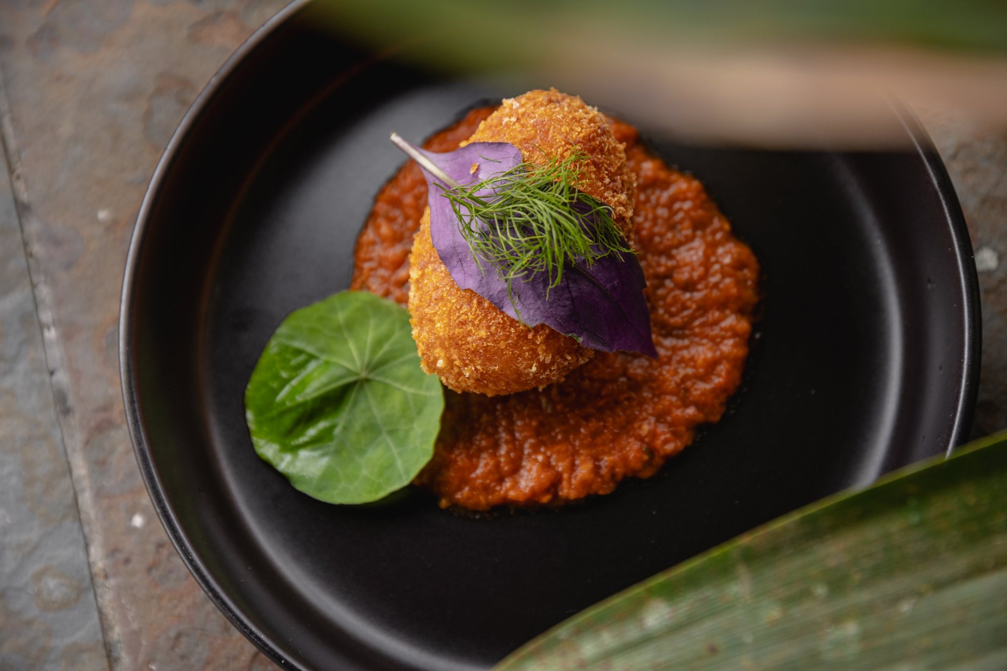 Potato and jalapeño croquette with sauce and fresh herbs